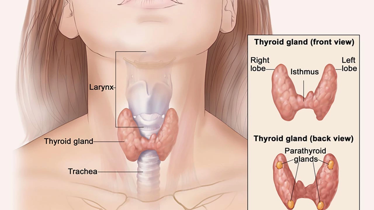 Thyroid Deficiency and Eye Health: What You Need to Know